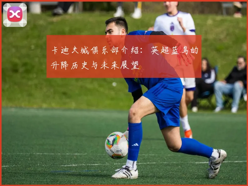 卡迪夫城俱乐部介绍：英超蓝鸟的升降历史与未来展望