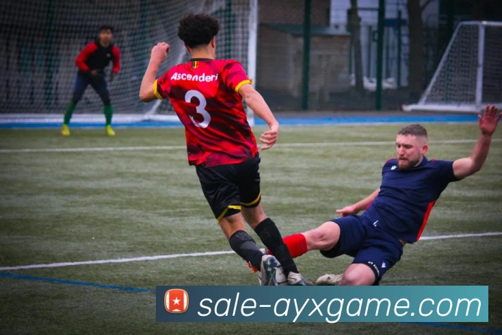 多媒体互动体验